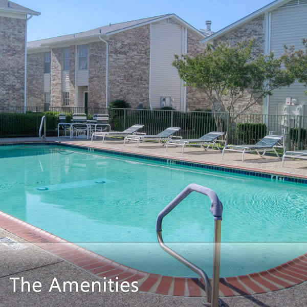 Features & Amenities